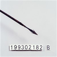 箭藏品圖，第2張