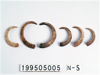 山豬牙藏品圖，第1張