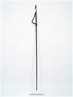 長矛藏品圖，第1張