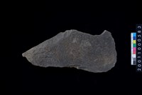 磨製石斧藏品圖，第2張