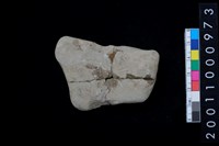 石網墜藏品圖，第2張
