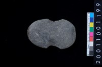 石網墜藏品圖，第2張