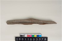 骨尖器藏品圖，第2張