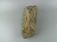 石灰岩藏品圖，第3張