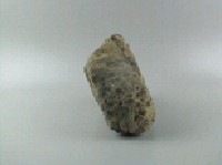 石灰岩藏品圖，第4張