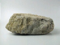 石灰岩藏品圖，第5張