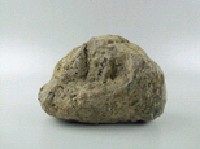 石灰岩藏品圖，第6張