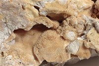 方解石藏品圖，第6張