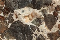 方沸石藏品圖，第5張