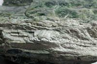 滑石藏品圖，第3張