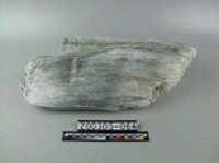 溫石棉藏品圖，第2張