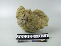 綠簾石藏品圖，第2張