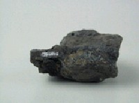 自然金藏品圖，第4張