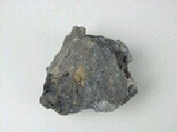 自然金藏品圖，第5張