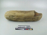 結核藏品圖，第2張
