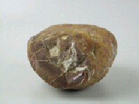 龜甲石藏品圖，第4張