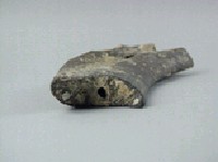 象肋骨藏品圖，第4張