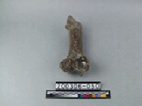 牛肢骨藏品圖，第2張
