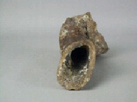 牛肢骨藏品圖，第3張