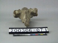 牛脊椎骨藏品圖，第2張