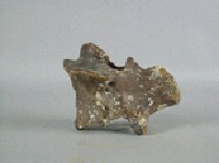 象脊椎骨藏品圖，第3張
