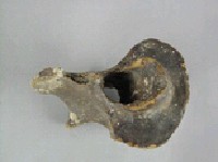 象脊椎骨藏品圖，第4張