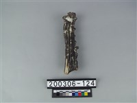 鹿角藏品圖，第1張