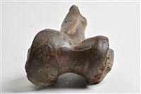 象尺骨藏品圖，第12張