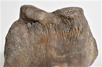 象尺骨藏品圖，第17張