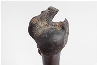 牛肱骨藏品圖，第7張