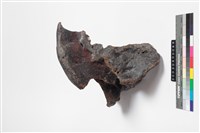 牛薦椎藏品圖，第5張