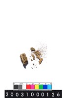 獸齒藏品圖，第2張