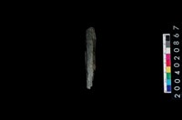 石環藏品圖，第6張