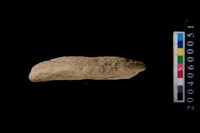 網墜藏品圖，第4張