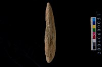 網墜藏品圖，第5張