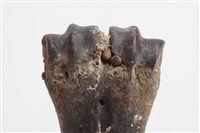 牛蹠骨藏品圖，第5張