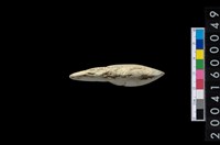 石錛藏品圖，第3張