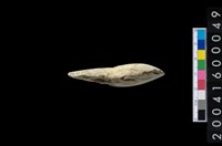 石錛藏品圖，第4張