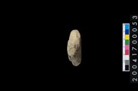 磨製石斧藏品圖，第5張