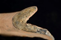 罐口-帶紋藏品圖，第3張