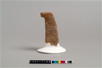 陶支腳藏品圖，第5張
