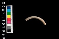 陶環藏品圖，第1張