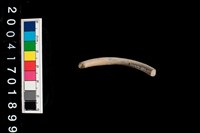 陶環藏品圖，第2張