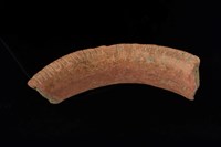口緣藏品圖，第5張