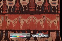 男子披布藏品圖，第6張