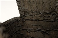 藤甲藏品圖，第16張