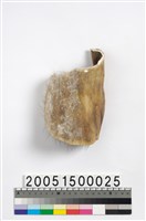 牛皮膠藏品圖，第2張