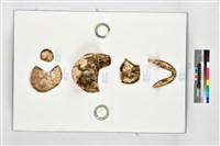 人頭骨殘件藏品圖，第2張