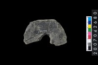 石環製作材料-中央帶啄孔打製圓板殘件藏品圖，第2張