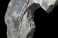 石環製作材料-中央帶啄孔打製圓板殘件藏品圖，第7張